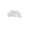 Tochter Papa