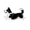 diamondcorgi7