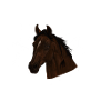 Pferd
