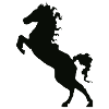 Cheval