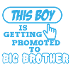 BIG BROTHER