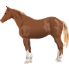 Cheval