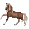 Pferd
