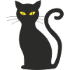 Black cat