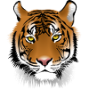 Tiger face