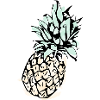 Ananas