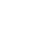 Worlds Okayest Brother