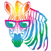 cool Zebra