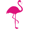 Flamingo pink summer sun beach