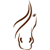 horse style