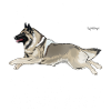 BelgianShep Diamonds3