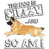 Belgian Shepherd Crazy2