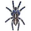 Poecilotheria