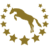 star cheval