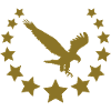 stars_eagle
