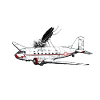 gnat bite