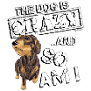 Dachshund WH Crazy