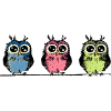 Three Cute Owls