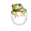 POCKET FROG