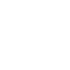Vitruvian Man