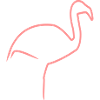 flamingo
