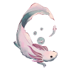 Axolotl Evolution
