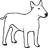 dog528
