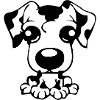 dog705