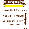 Schornsteinfeger