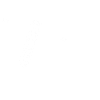 Aircooled Boxer