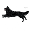 Diamant De Berger Belge