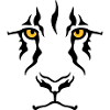 Le regard du lion