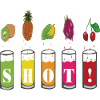 Holiday Drinks SHOT