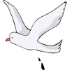 gull
