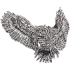 flyingowl
