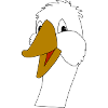 goose13