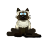 Siamese