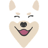 Shiba Inu Gesicht