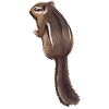 Chipmunk