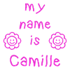 CAMILLE MY NAME IS