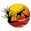 Africa giraffe