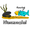 Niesmuschel