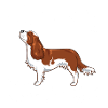 Cavalier Diamonds 2