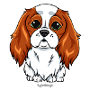 Cavalier King Charles Cutie