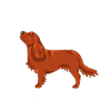 Cavalier Diamonds