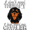 Cavalier Therapy 2