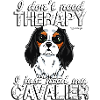 Cavalier Therapy 3