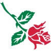 retro rose tattoo patjila