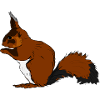 squirrel28