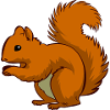 squirrel25